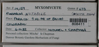 Image Associated With the Occurence